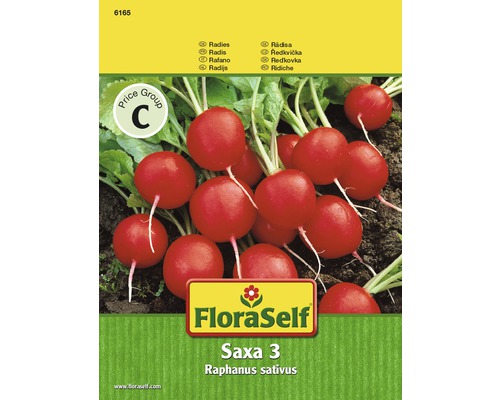 Ředkvička 'Saxa 3' FloraSelf