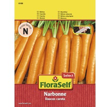 Mrkev 'Narbonne' výsevní pásek FloraSelf Select-thumb-0