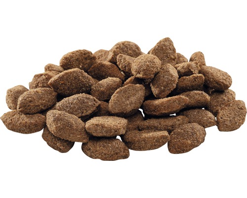 Hromada suchého krmiva pro psy