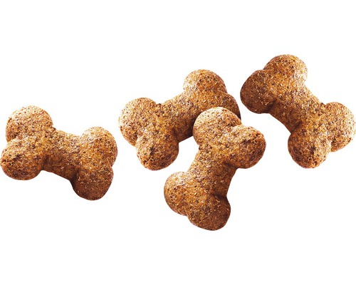 Čtyři psí sušenky ve tvaru kosti