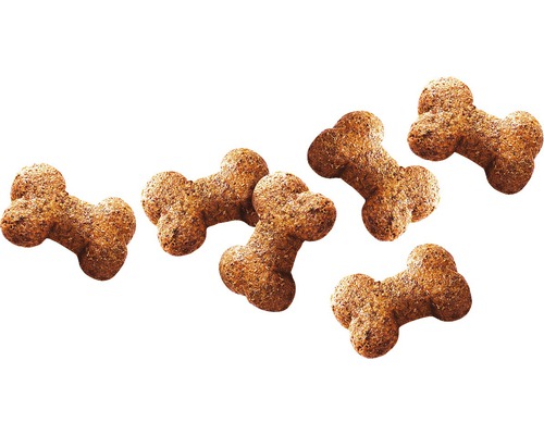 Několik sušenek pro psy ve tvaru kosti