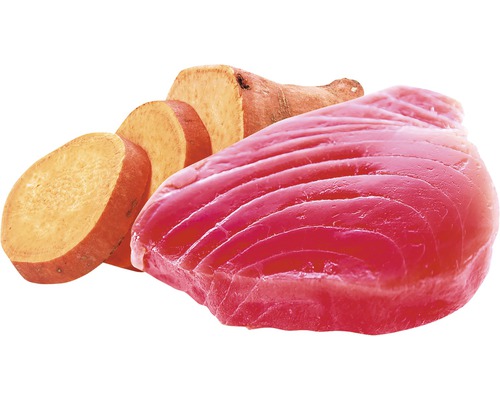 Kousek tuňáka s nakrájenou sladkou bramborou.