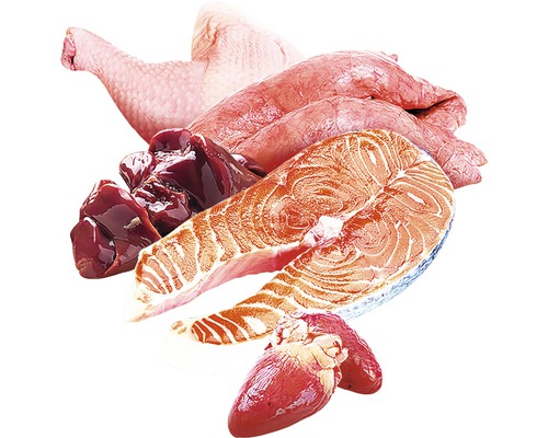 Různé druhy masa: kuřecí stehno, plíce, játra, ryba a srdce