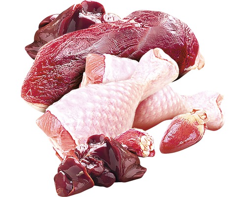 Různé druhy syrového masa: srdce, játra a kuřecí stehna