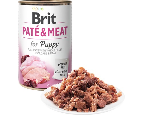 Brit paštika s masem pro štěňata v misce a plechovka v pozadí