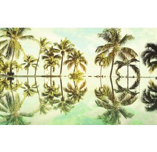 Ilustrace s palmami a jejich odrazem
