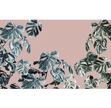 Fototapeta vliesová P016-VD4 Pure Monstera Rosé 4-dílná 400x250 cm