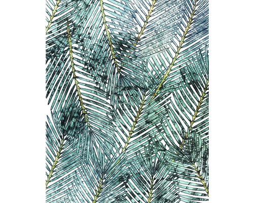 Fototapeta vliesová Palm Canopy, motiv přírodní