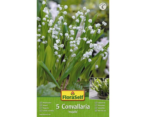 Konvalinka vonná - Convallaria Majalis Floraself bílá 5 ks