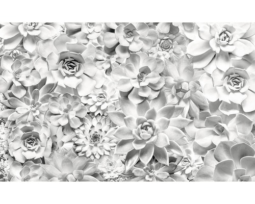 Fototapeta vliesová P962-VD4 Pure Shades Black and White 4-dílná 400x250 cm