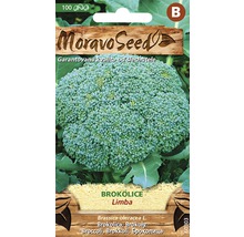 Balení semen brokolice