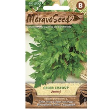 Balíček semen celeru od firmy Moravo Seed