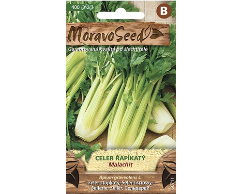 Celer řapíkatý MALACHIT MoravoSeed