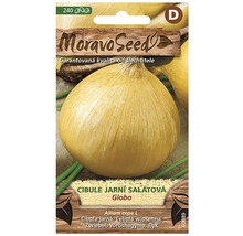 Semenářský balíček jarní salátové cibule Globo