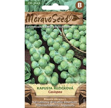 Moravo Seed Kapusta růžičková Casiopea balení semen