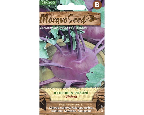 Kedluben pozdní modrý VIOLETA MoravoSeed