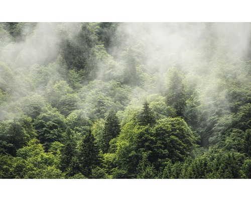 Fototapeta vliesová PSH061-VD4 Pure Forest Land 4-dílná 400x250 cm