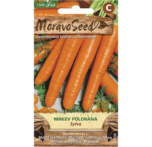 Balíček semen mrkve