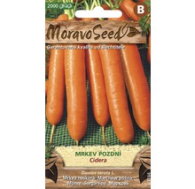 Balení semen pozdní mrkve