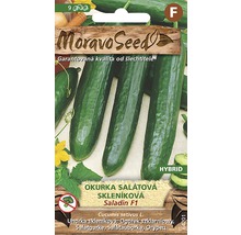 Balení semen okurky salátové Moravo Seed Saladin F1