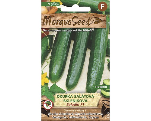 Okurka salátová skleníková SALADIN F1 MoravoSeed