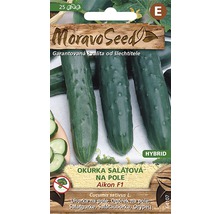 Balíček semen salátové okurky Aikon F1