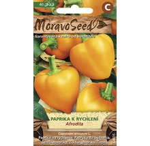 Balení semen papriky Afrodita