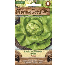Sáček se semínky hlávkového salátu Amur