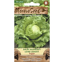 Balení semen ledového salátu