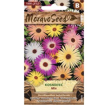 Balení semen Moravo Seed Kosmatec Mix