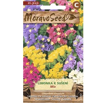 Balíček semen Moravo Seed Limonium sinuatum pro směsi sušených květin