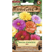 Balení směsi semen Portulaca grandiflora