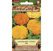 Balení semen Aksamitník vysoký, Tagetes erecta