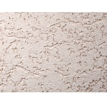 Detail stěny s hrubou omítkou