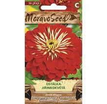Balení semen Moravo Seed Zinnia jiřinkokvětá směs