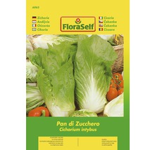 FloraSelf Cukrová homole balení semen