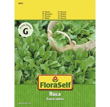 Roketa Ruca semena FloraSelf-thumb-0