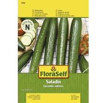 Salátová okurka 'Saladin' FloraSelf-thumb-0
