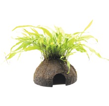 Dekorace do akvária s kokosovou jeskyní a rostlinou