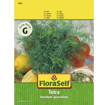 Kopr 'Tetra' FloraSelf-thumb-0