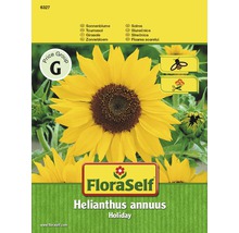 Balení semen slunečnice FloraSelf Helianthus annuus Holiday