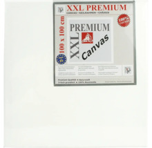 XXL Prémiové plátno na rámu, 100 x 100 cm, třikrát natřené, ze 100 procent bavlny