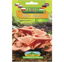 Balení semen hlívy růžové