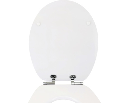 Plastové záchodové prkénko s panty