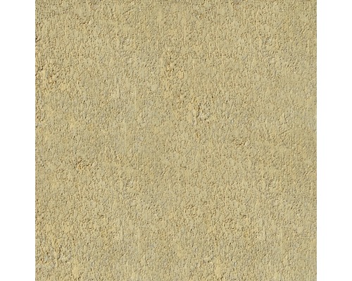 Detail omítkové plochy