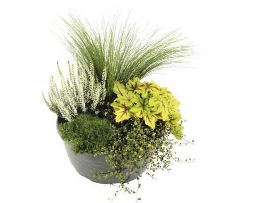Osázený květináč s vřesem, okrasnou trávou a listnatými rostlinami
