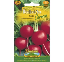 Balíček semen ředkvičky