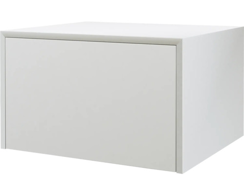 Koupelnová závěsná skříňka Baden Haus Tavolone bílá matná 50 x 30 x 43 cm