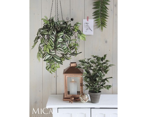 Dekorativní scéna se závěsnou rostlinou, lucernou, hrnkovou rostlinou a dekorativním objektem na skříňce