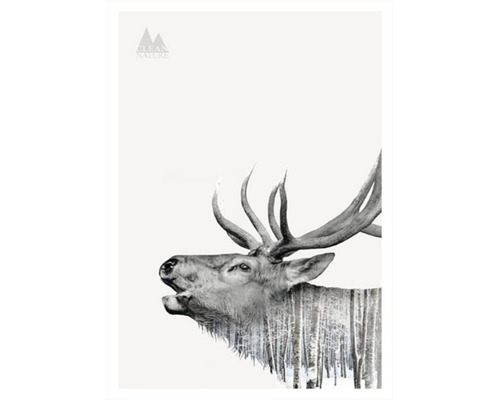Obraz Decopanel Clean Nature Deer 50x70 cm